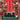 Carbella Trunk/Cargo Holiday Santa Legs Decoration