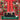 Carbella Trunk Elf Legs Christmas Car Decoration, Stuffed Elf Legs for Car Holiday Xmas Elf Feet Car Accessories for Winter Outdoor/Indoor