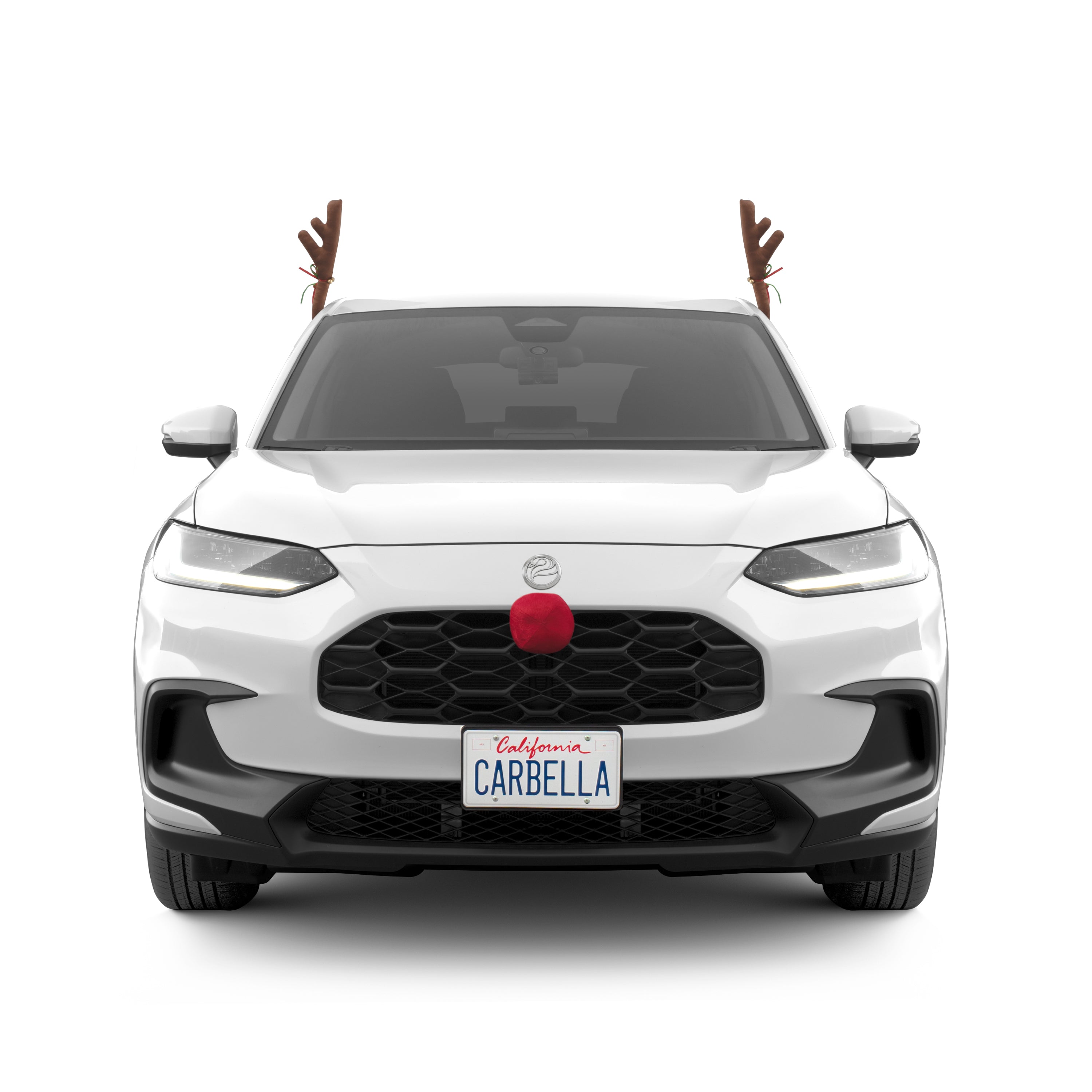 Carbella 3-Piece Holiday Antlers and Red Nose