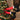 Carbella Trunk/Cargo Holiday Santa Legs Decoration